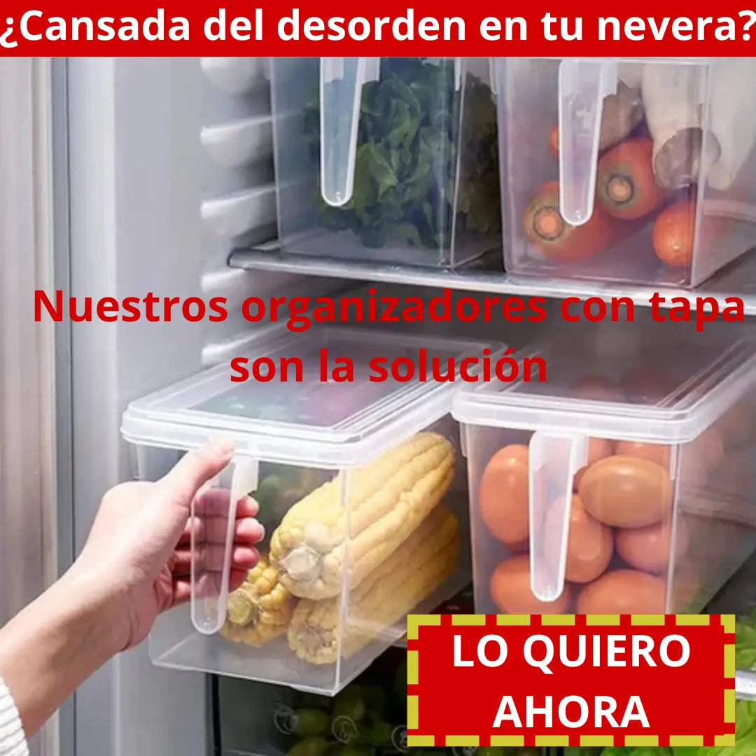 ORGANIZADOR CON TAPA TRANSPARENTE X3