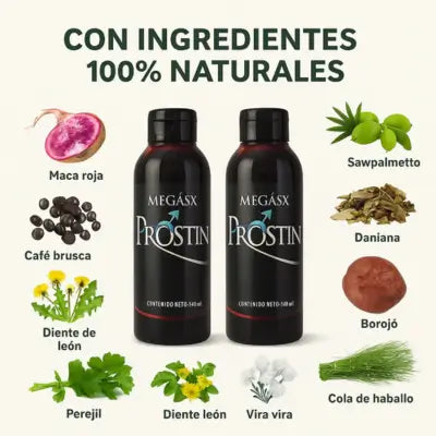 Encabezado