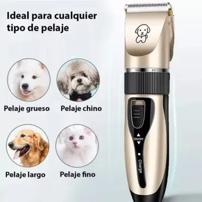 Producto