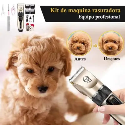 Encabezado