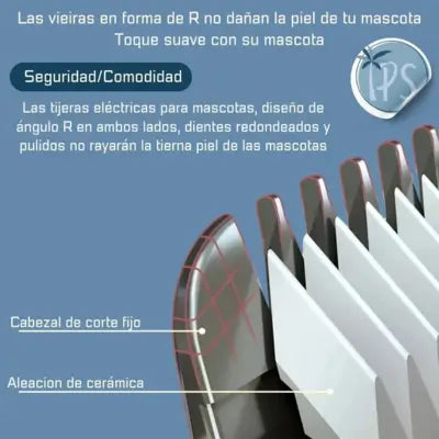 Encabezado