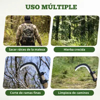 Encabezado